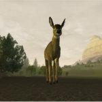 Deer Hunter 2005 Gameplay Win 3