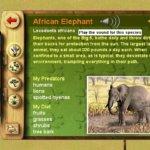 SimSafari gameplay win 17