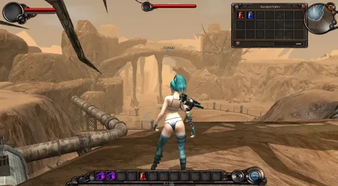 Embarking on the Enigma: